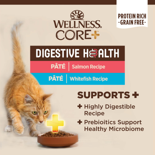 The benifts of Wellness CORE+ Digestive Health Salmon & Whitefish