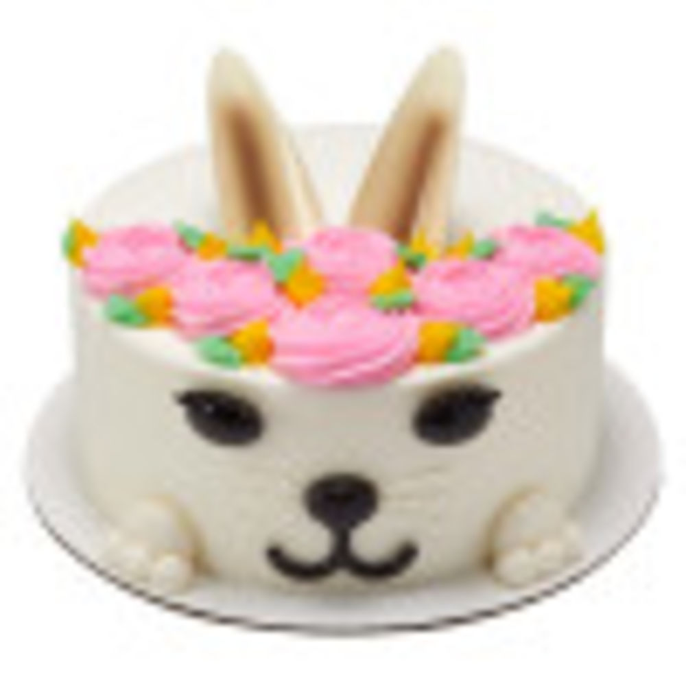 Image Cake Pet Creations
