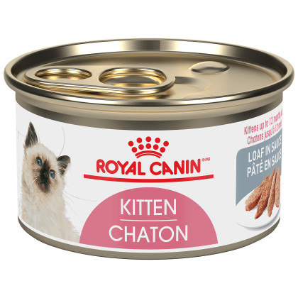 Royal Canin Feline Health Nutrition Kitten Loaf In Sauce Canned Cat Food