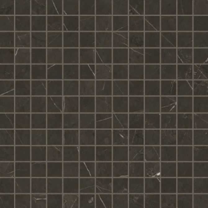 Valentina Carbon 1×1 Mosaic Polished