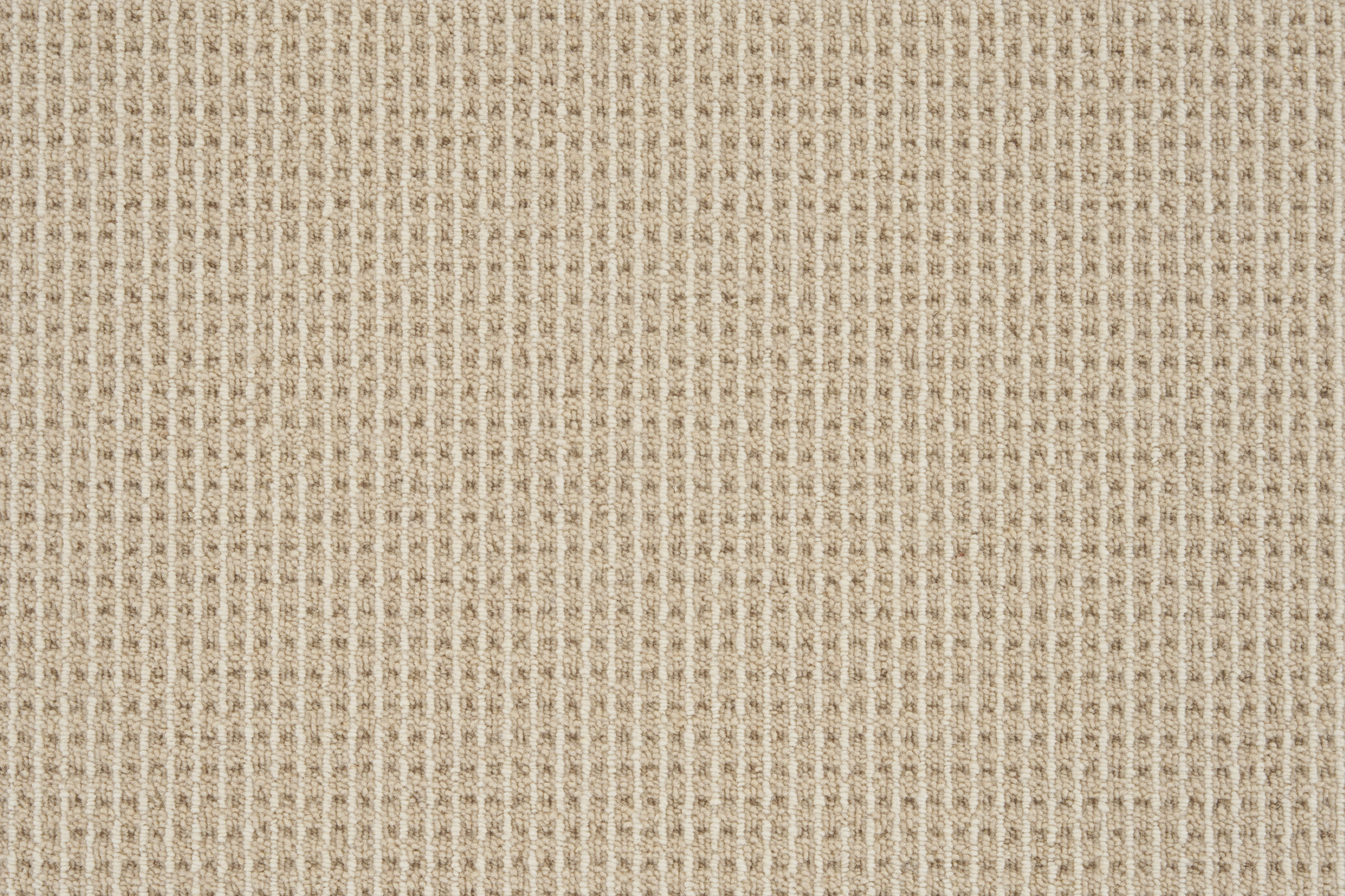 color-rug1