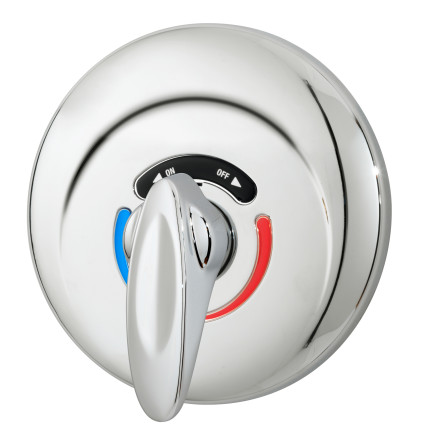 Safetymix Valve Trim