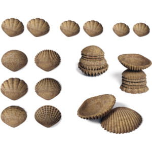 Tactile Shells - Eco-Friendly - 36 Pieces, 6 Textures, 3 Sizes - Ages 18m+