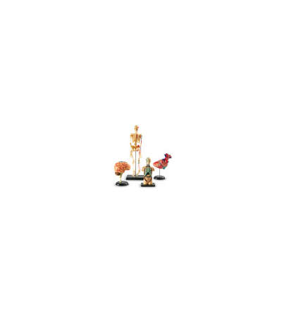 s--srH5nevd--/lcnbeedkvfuyayuo96qa.jpg