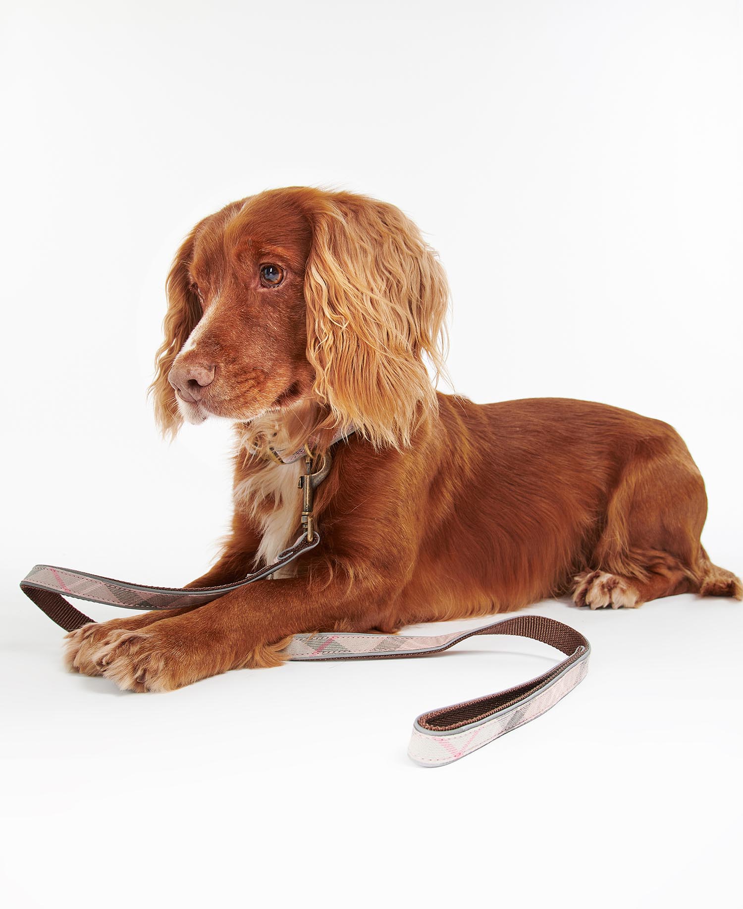 Reflective Tartan Dog Lead image number 0