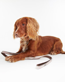 Reflective Tartan Dog Lead Taupe-Pink Tartan