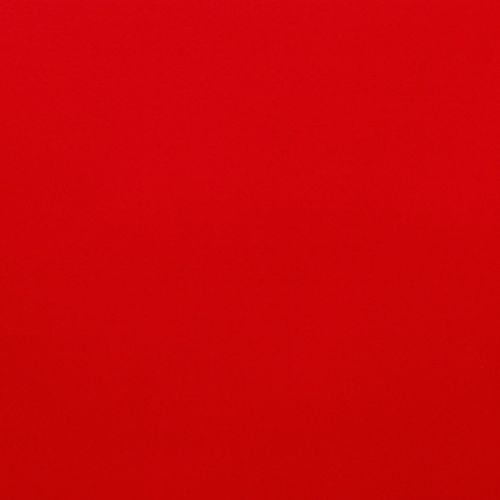 Large solid red surface, uniformly colored and filling the frame, acting as a minimal, featureless backdrop under even, neutral lighting.
