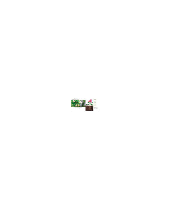 s--stJNGLEm--/tn0w9vztf2ozi9bjzec7.jpg