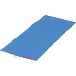 3 Section Economy Folding Rest Nap Mat - Red/Blue
