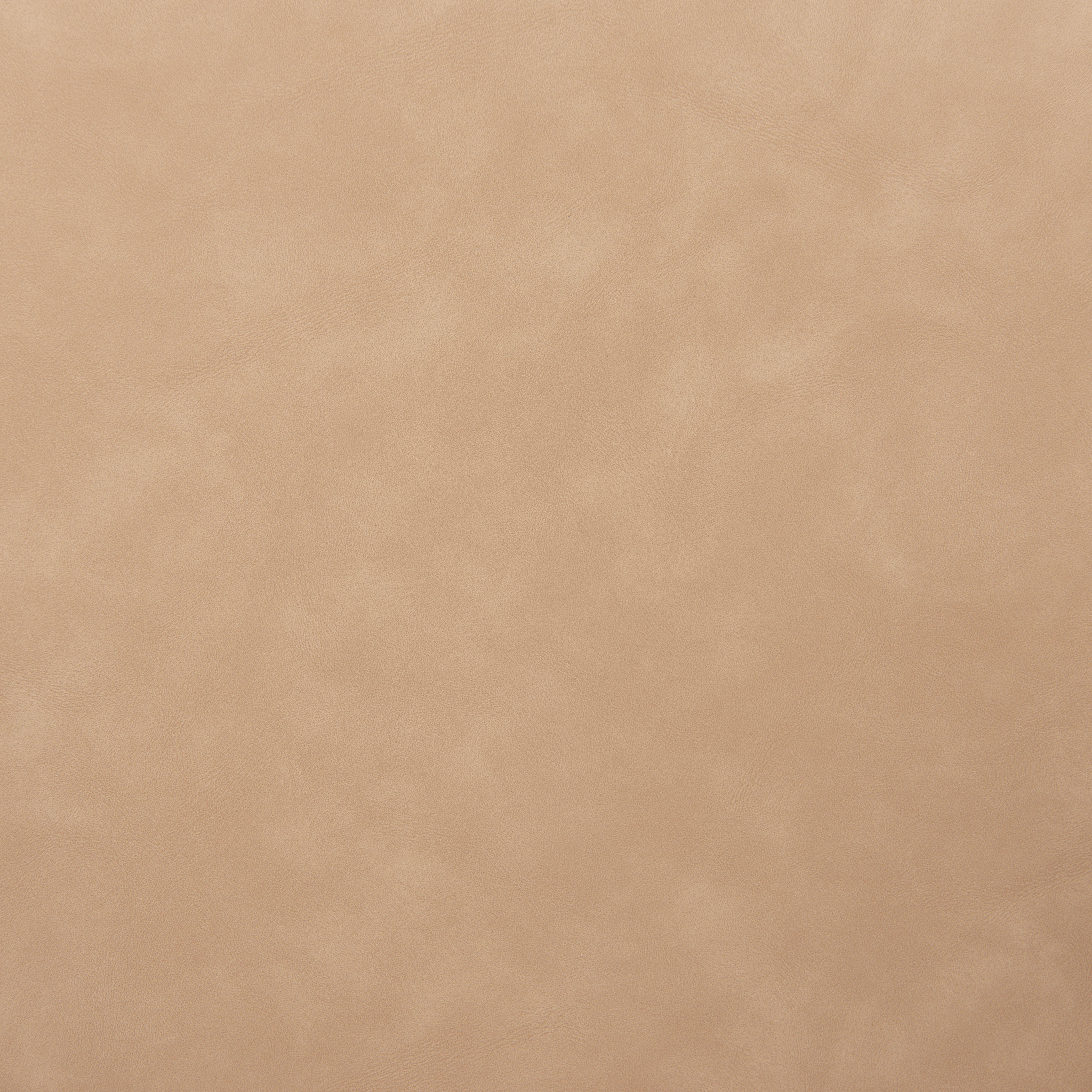 Silues Dining Chair (Set of 2) Taupe & Brown product image