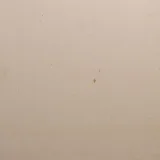 French Limestone Crema Cascais 16×16 Field Tile Honed