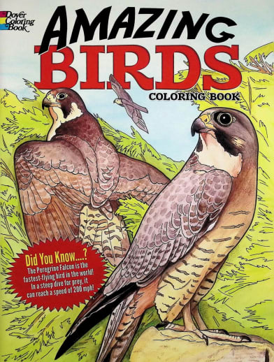 Amazing Birds Coloring Book