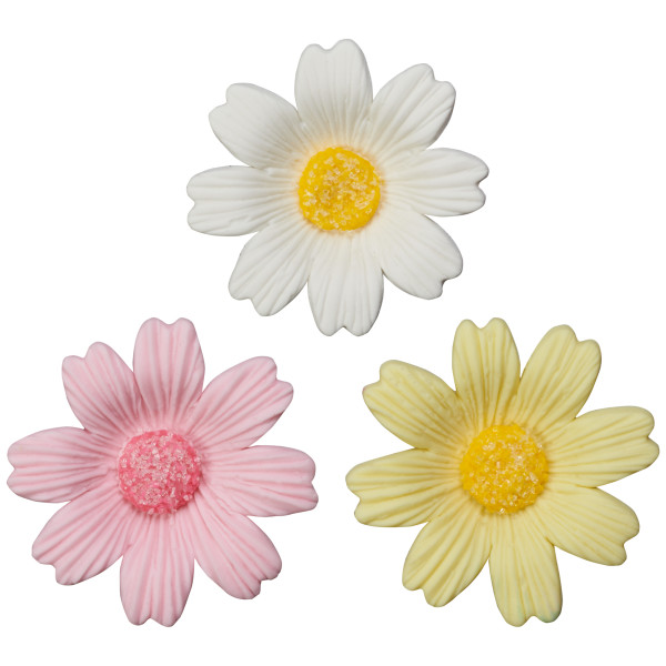 Daisies Assortment Gum Paste Layon