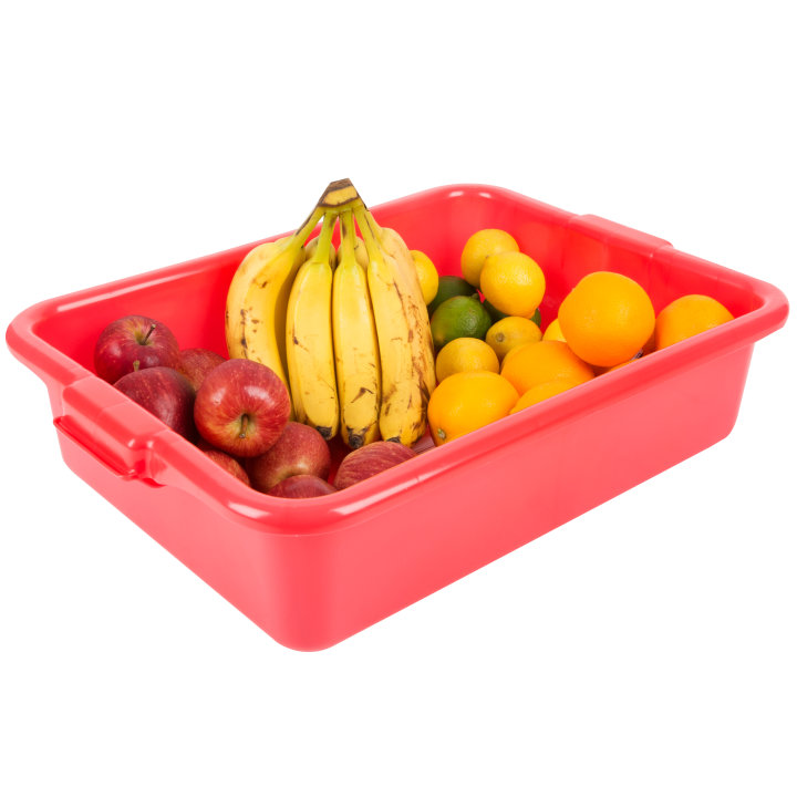 5-inch-deep Traex® Color-Mate™ perforated drain box in red