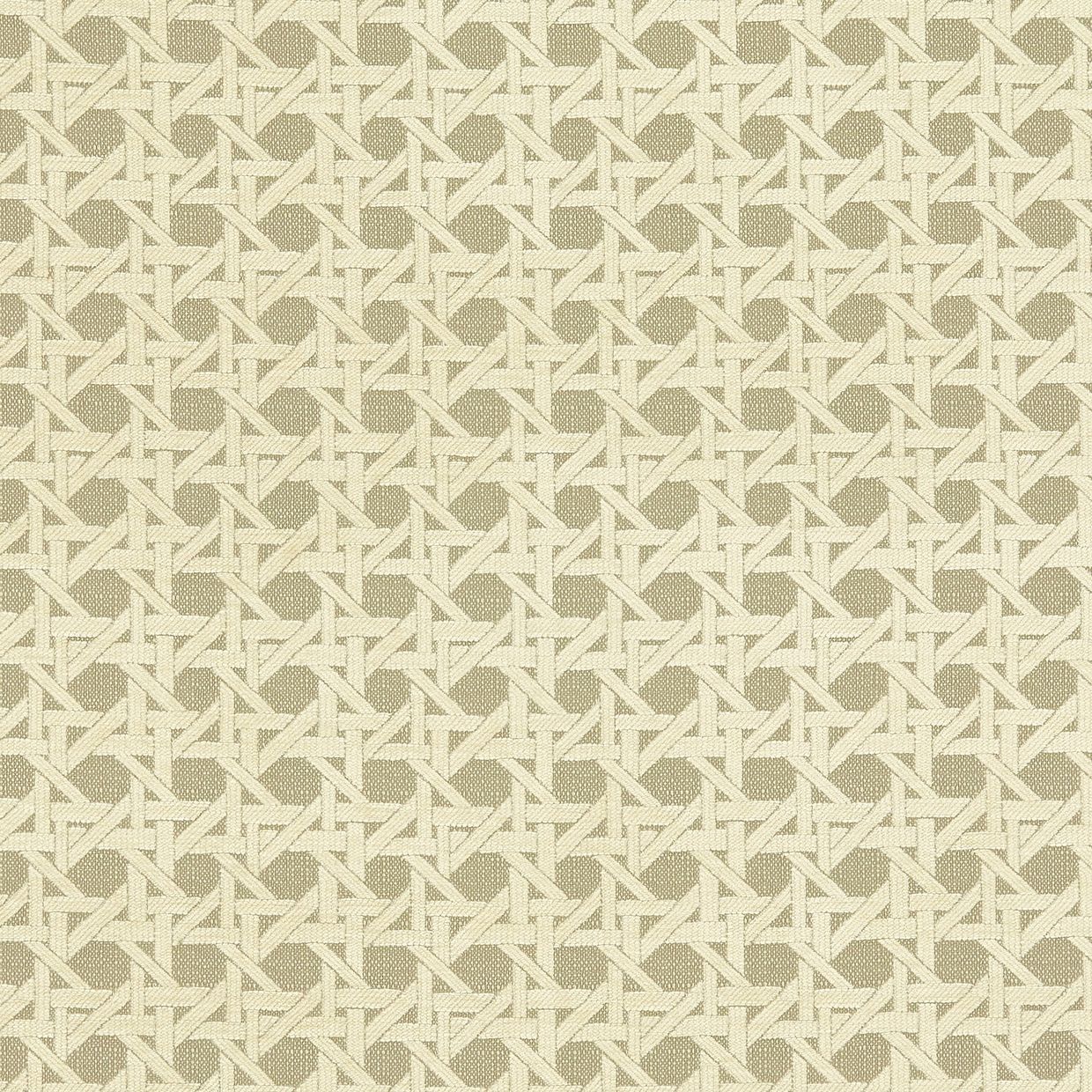 Wyndhams Rattan Sepia Curtain