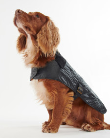 Cappotto trapuntato per cani 