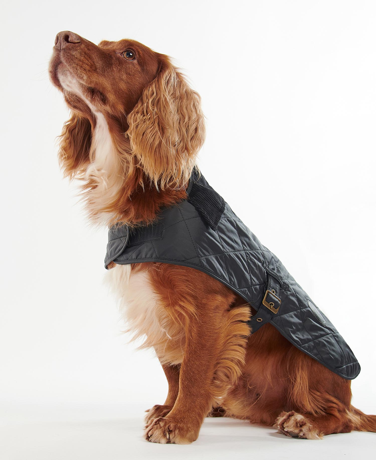 Quilted Dog Coat image number 1