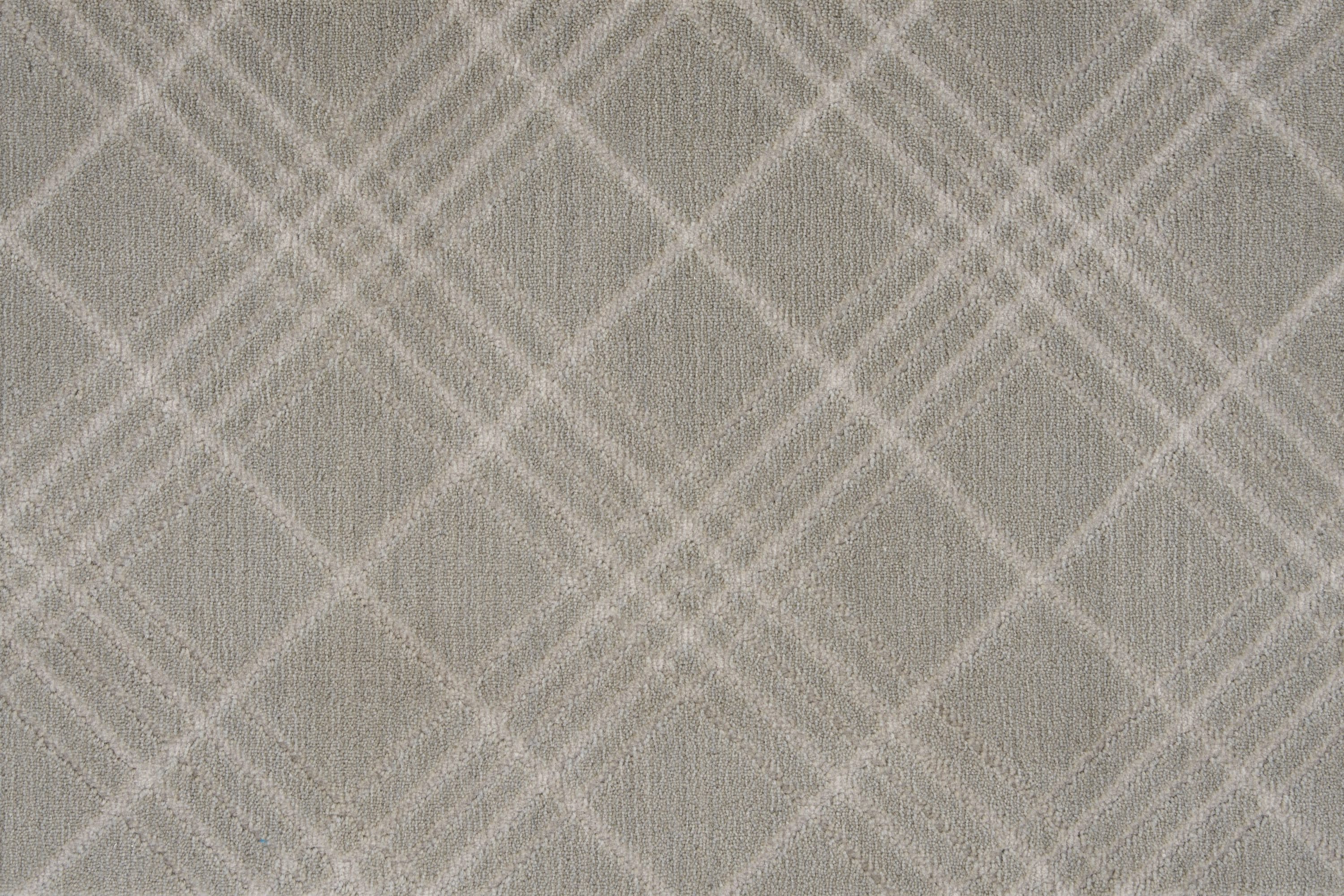 color-rug1