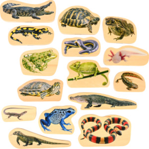 Wooden Reptile & Amphibian Blocks - Set of 15