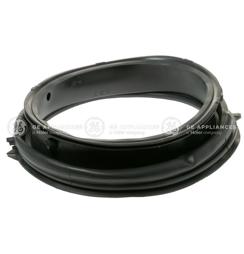 WASHER DOOR GASKET