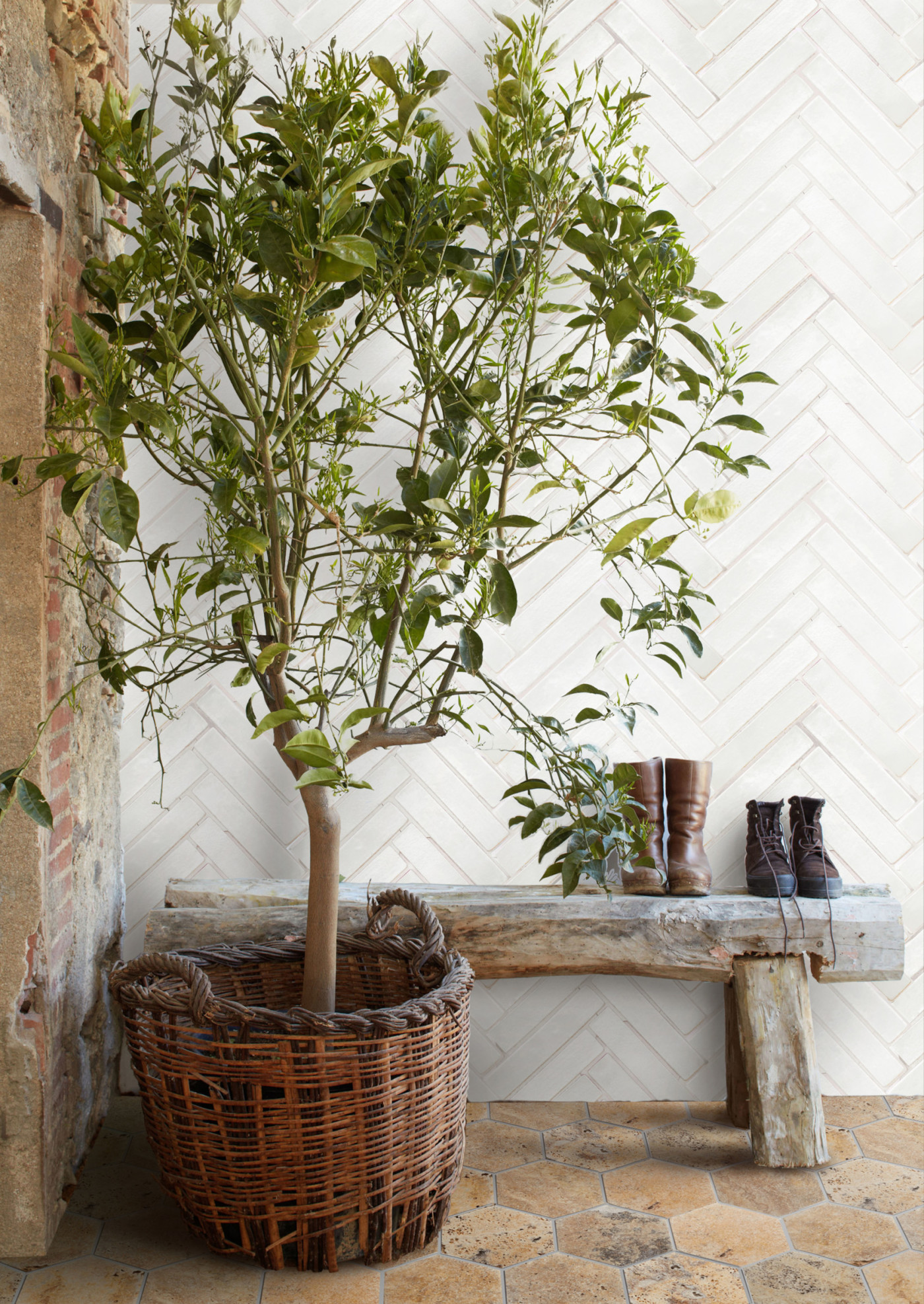 a basket with a plant in it and a wooden bench in front of a white brick wall.