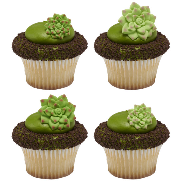 Succulents Sweet Décor® Edible Decorations