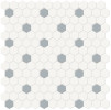 Studio Sky 1″ Hexagon with Insert Mosaic Matte