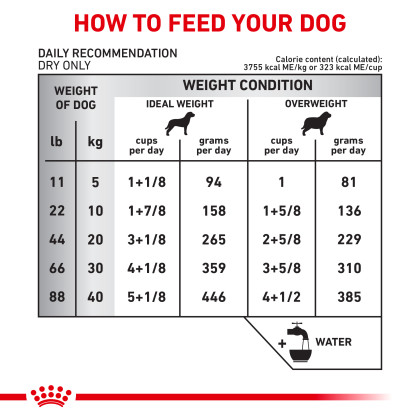 Ultamino Dry Dog Food - Royal Canin