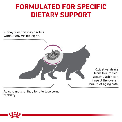 Feline Renal Support Early Consult Dry Cat Food
