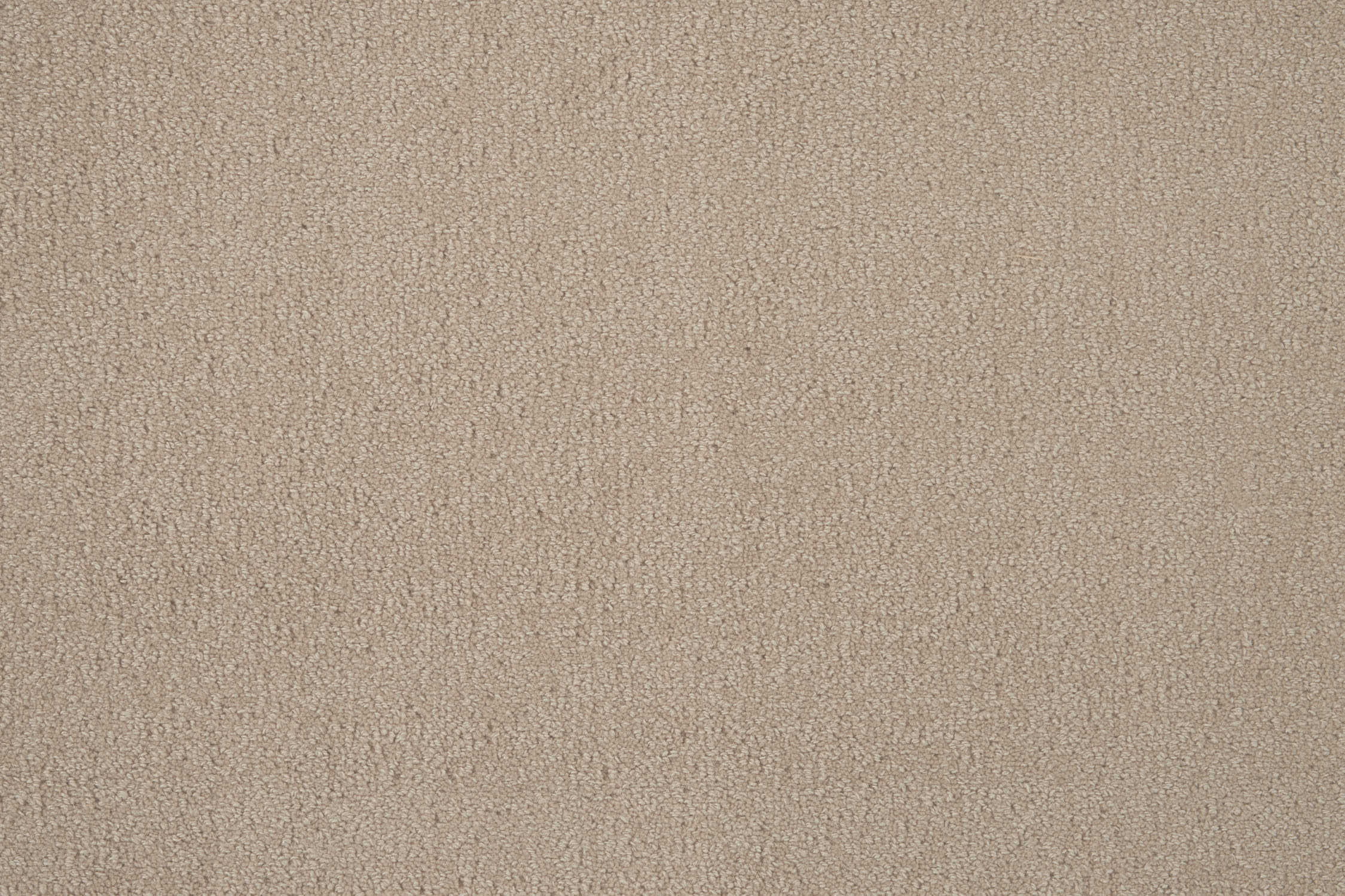 color-rug1