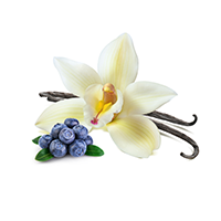 Sweet Blueberry & Vanilla Scent