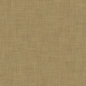 DREAM-07 Curtains