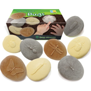 Let's Investigate Bugs Stone, Pack of 8