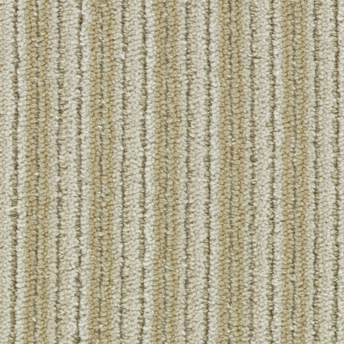 color-rug1