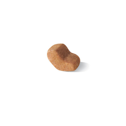 Shih Tzu Adult kibble