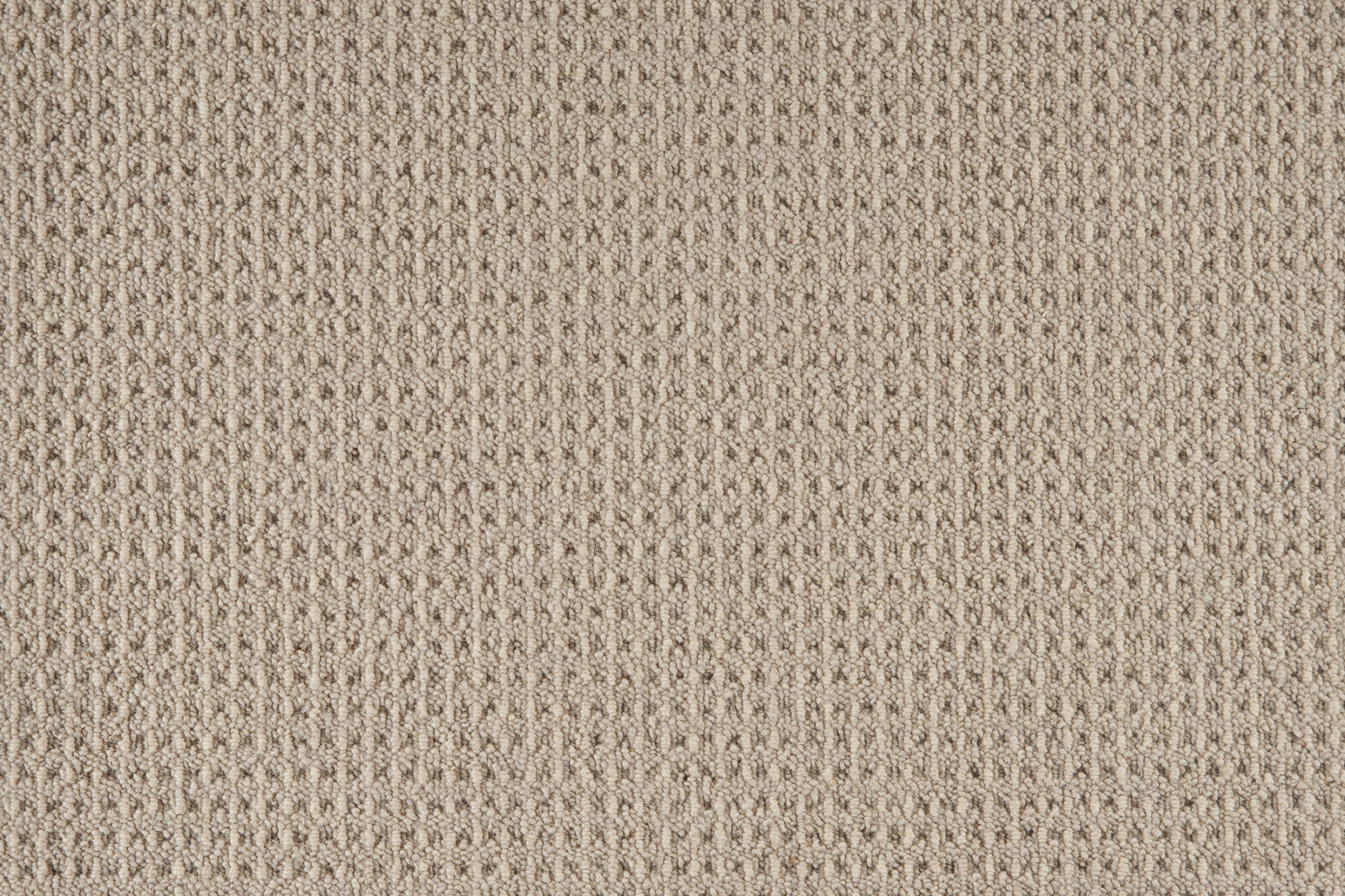 color-rug1