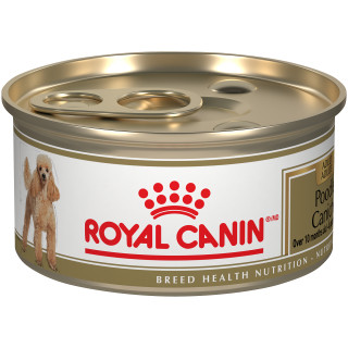 CANICHE ADULTE – nourriture en conserve pour chiens