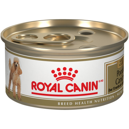 Royal Canin Breed Health Nutrition Poodle Loaf In Sauce Dog Food