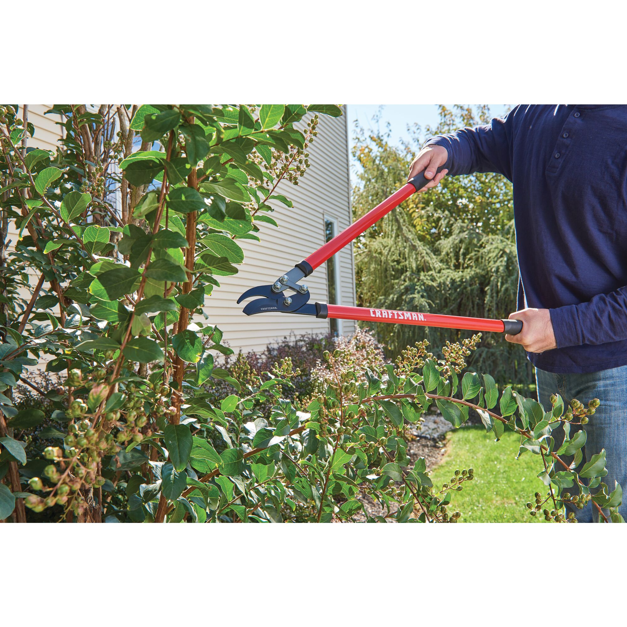 Compound bypass lopper being used by a person to cut a branch outdoors.