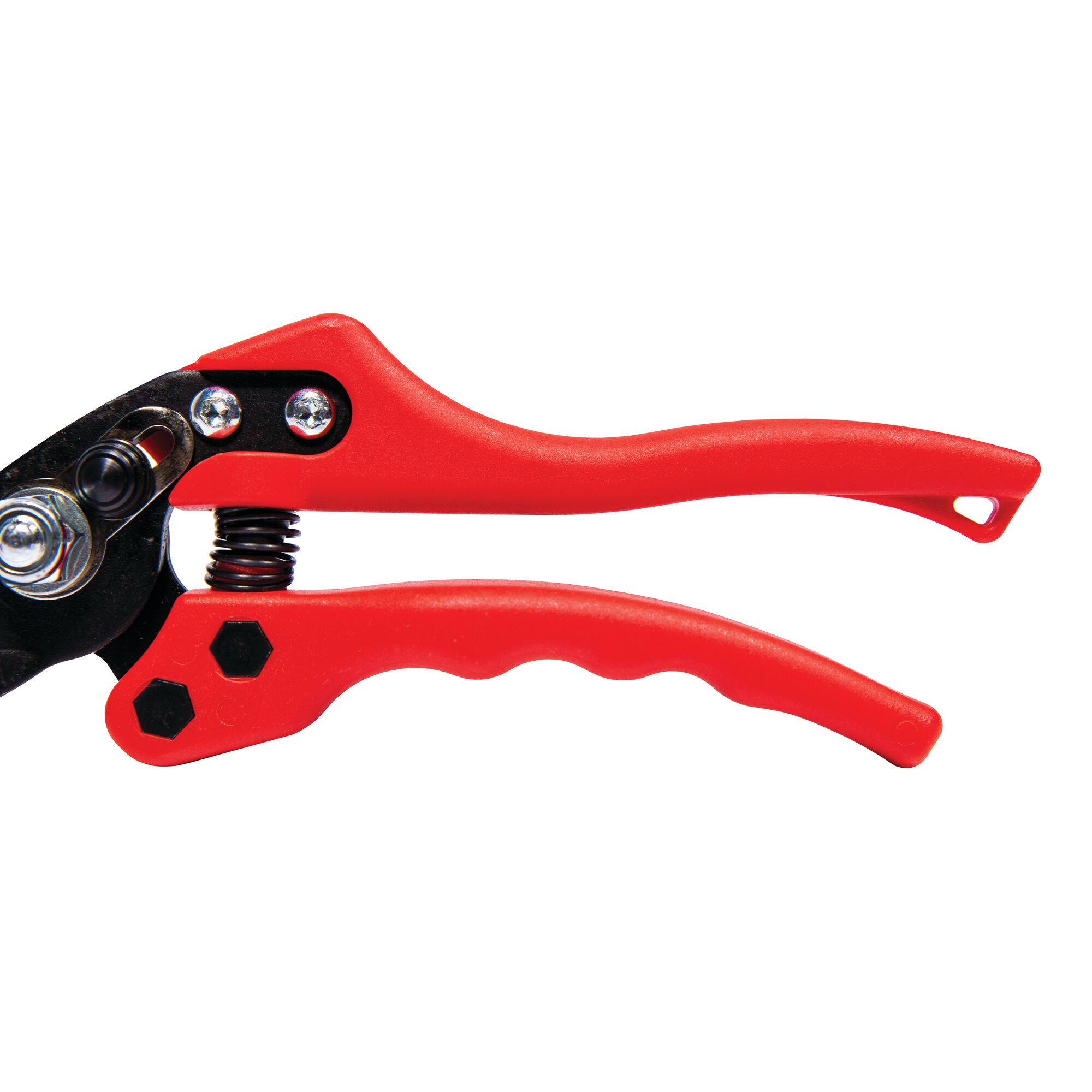 Non-stick blade coating feature of bypass pruner.