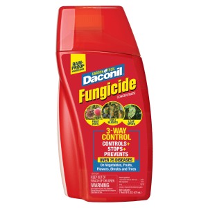 6ea/16 fl oz