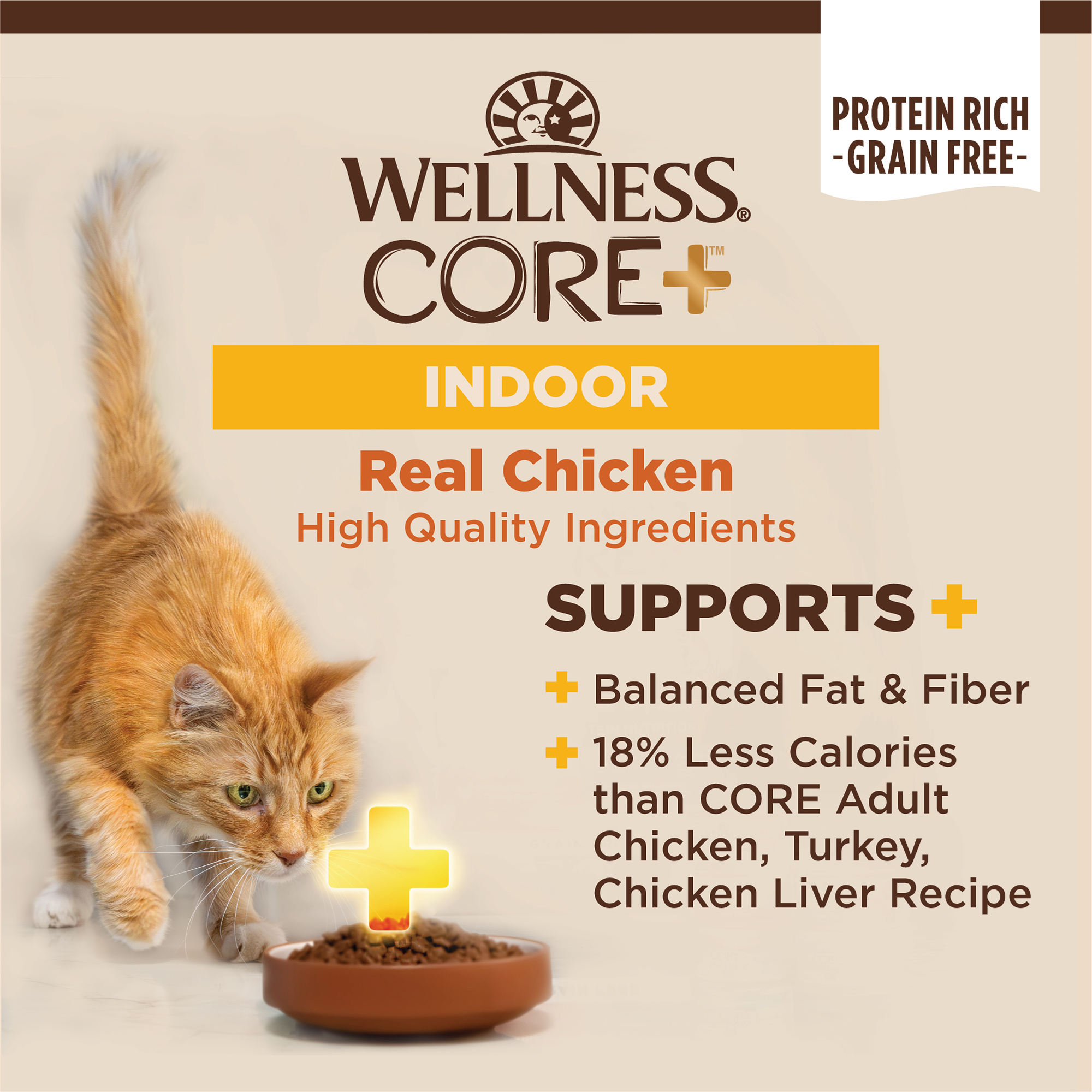 Wellness CORE+ Pate Indoor Chicken & Chicken Liver