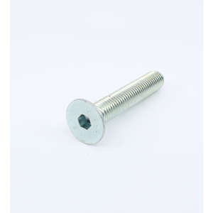 Screw 10X60 Uni 5933 Galv.
