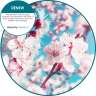 Fresh Products, Oxyfresh Air Freshener Refill, Renew