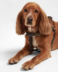 5 Way Adjustable Dog Harness Classic Tartan