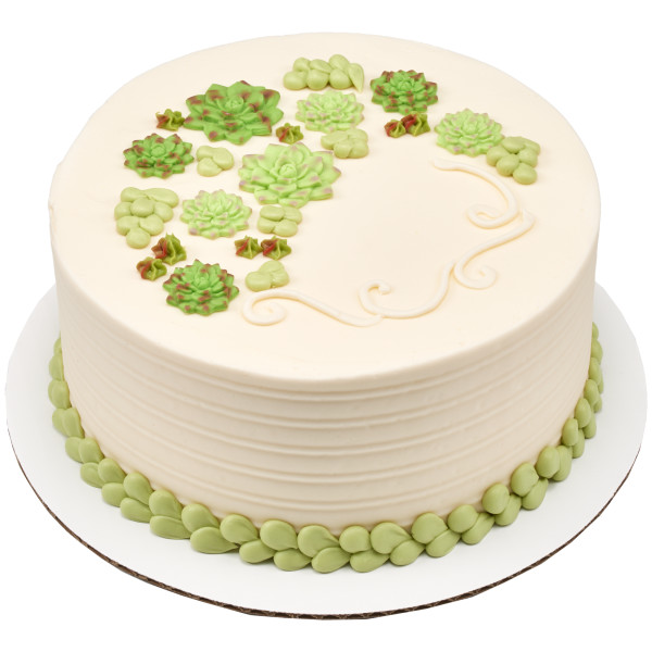 Succulents Sweet Décor® Edible Decorations