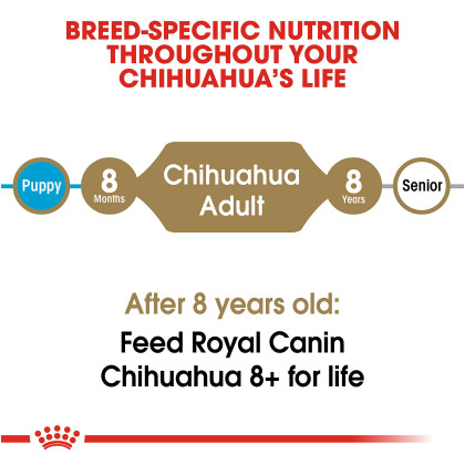 Chihuahua Adult Dry Dog Food