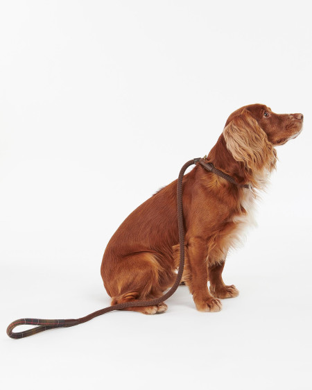 Tartan Hundeleine Trim