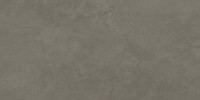 Organic Roots Brown 24×48 Field Tile Rectified