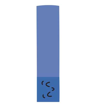 s--tszwr5hP--/eaxlwh9nprif3ltxmact.jpg